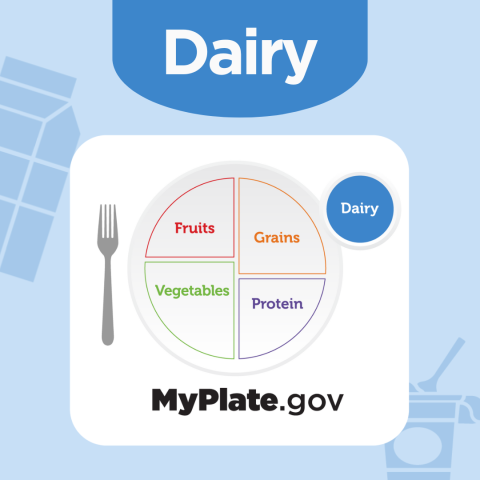 Dairy