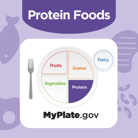 Protein Foods