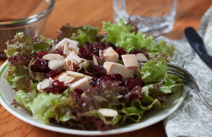 plate of Chicken and Cranberry Salad